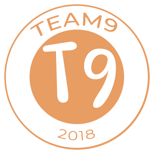 Team 9 Logo