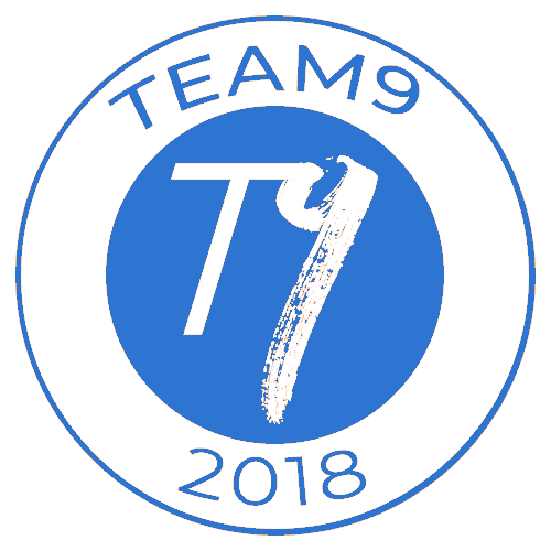 Team 9 Logo